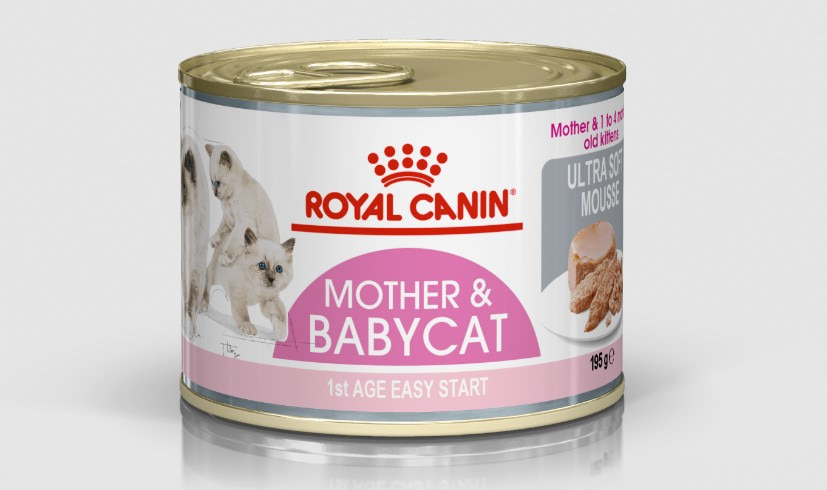 Royal Canin-皇家離乳初生貓及母貓營養主食罐頭