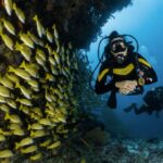 參加水肺潛水課程，可以教你如何攜帶裝備探索海底