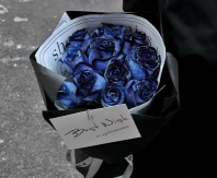 藍黑玫瑰