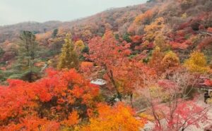 （韓國10月天氣）