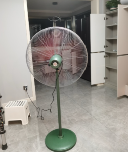 去甲醛方法